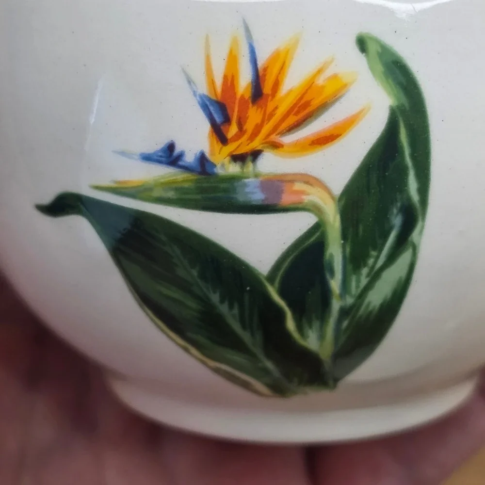 Santa Anita Ware Teacup/Saucer Set of 4 Flowers Of Hawaii Bird Of Paradise 1949